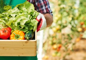 The Benefits of Vitamin D & How to Get It